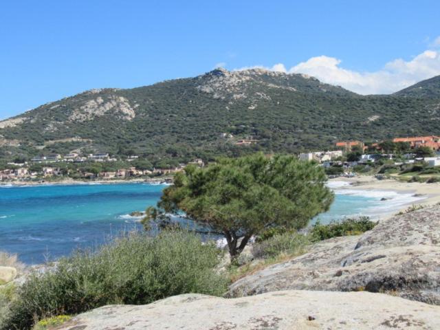 T2 rénové 100m plage avec SPA privatif entre calvi et ile rousse Lumio  Extérieur photo
